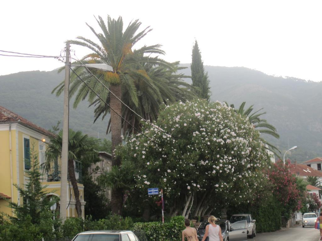 Apartments Delfin Tivat Exterior foto